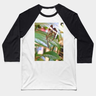 Glass Wings Baseball T-Shirt